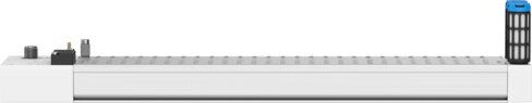 Manifold rail