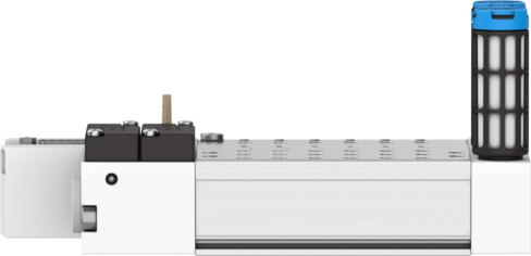Manifold rail