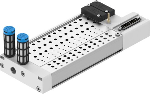 Manifold rail