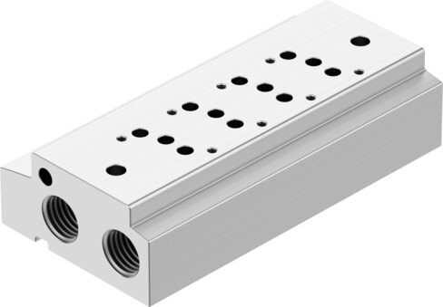 Manifold rail