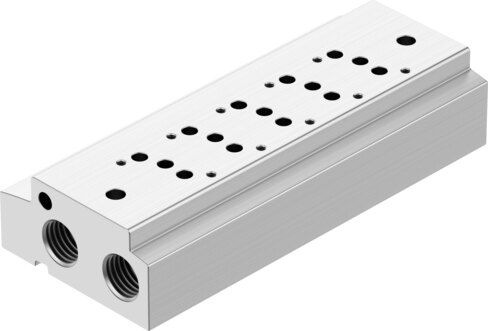 Manifold rail
