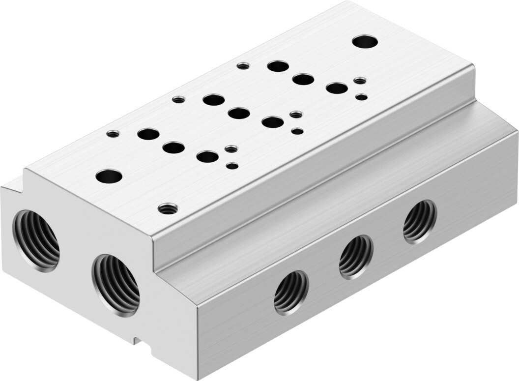 Manifold rail