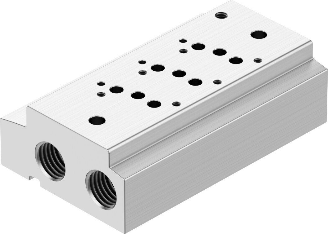 Manifold rail