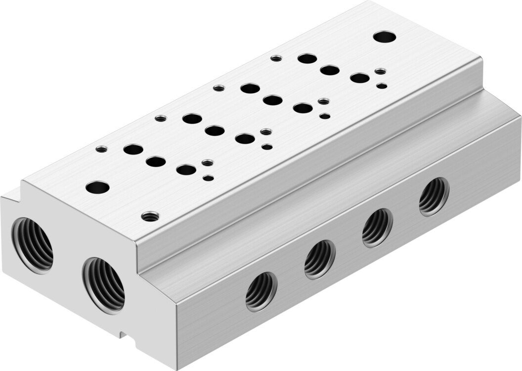 Manifold rail