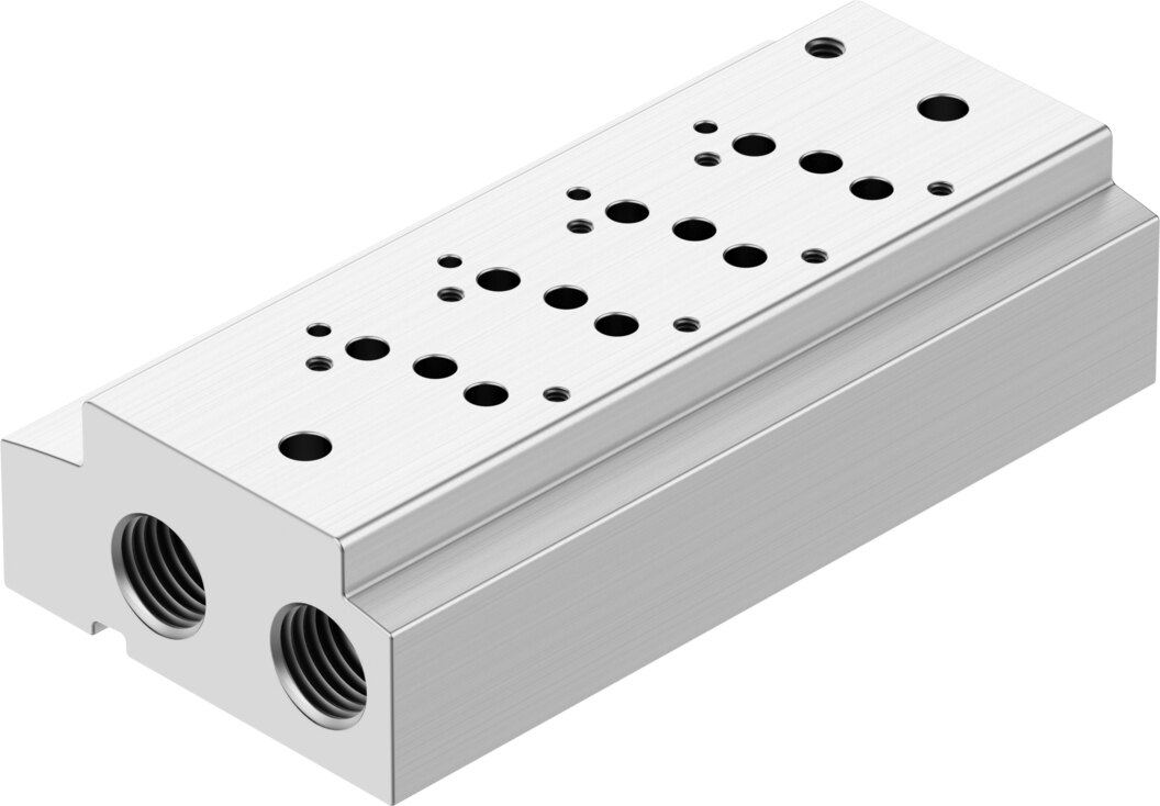 Manifold rail