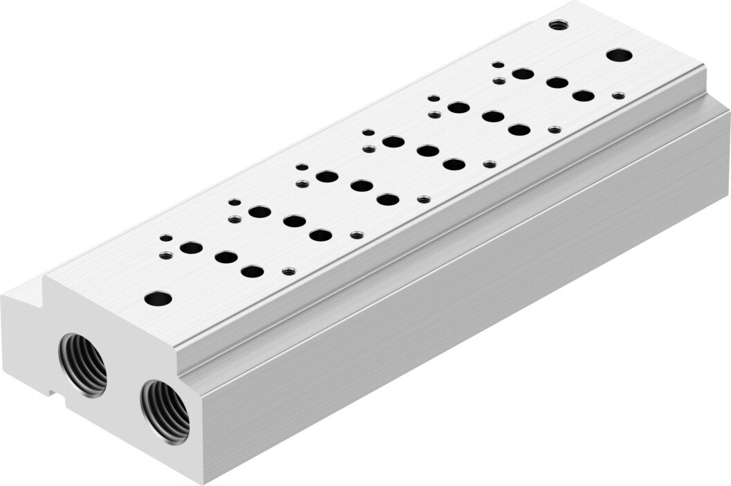 Manifold rail