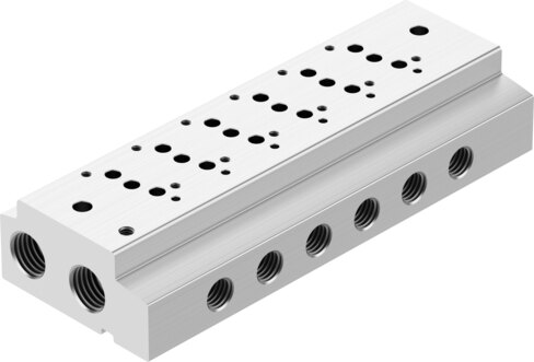 Manifold rail