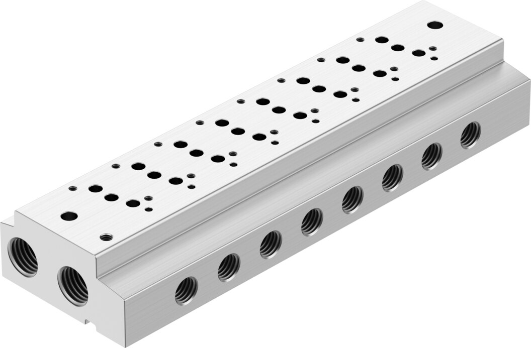 Manifold rail