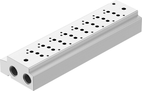 Manifold rail