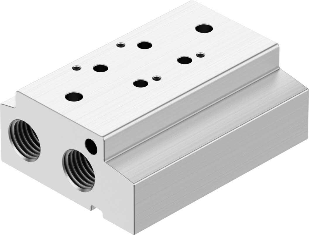 Manifold rail