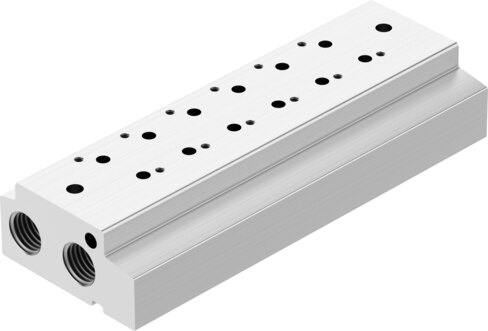 Manifold rail