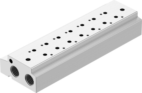 Manifold rail