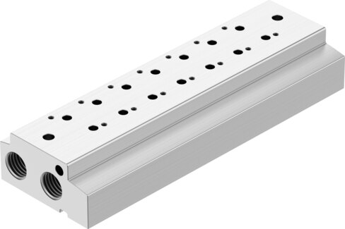 Manifold rail