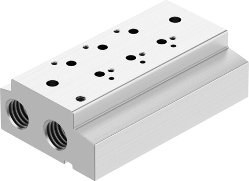 Manifold rail