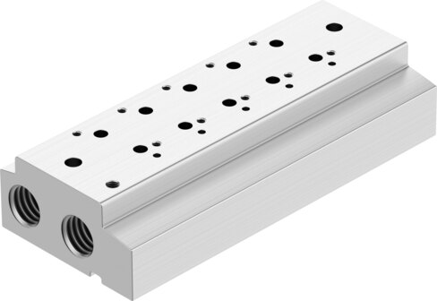 Manifold rail