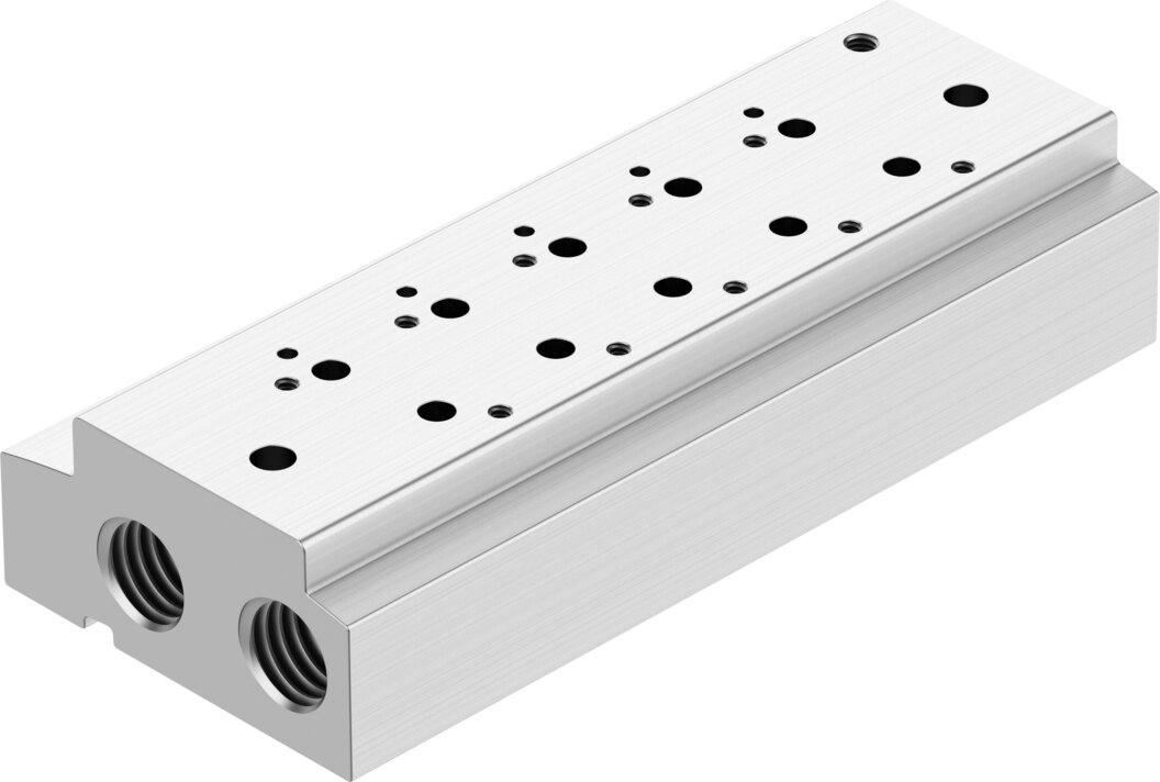 Manifold rail