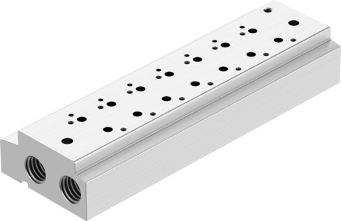 Manifold rail