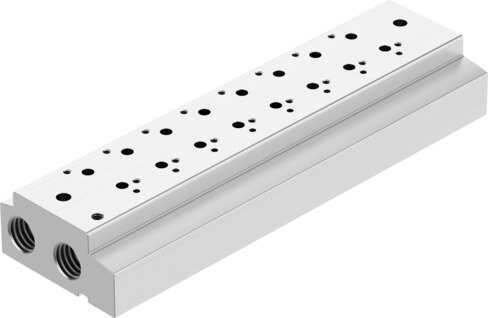 Manifold rail