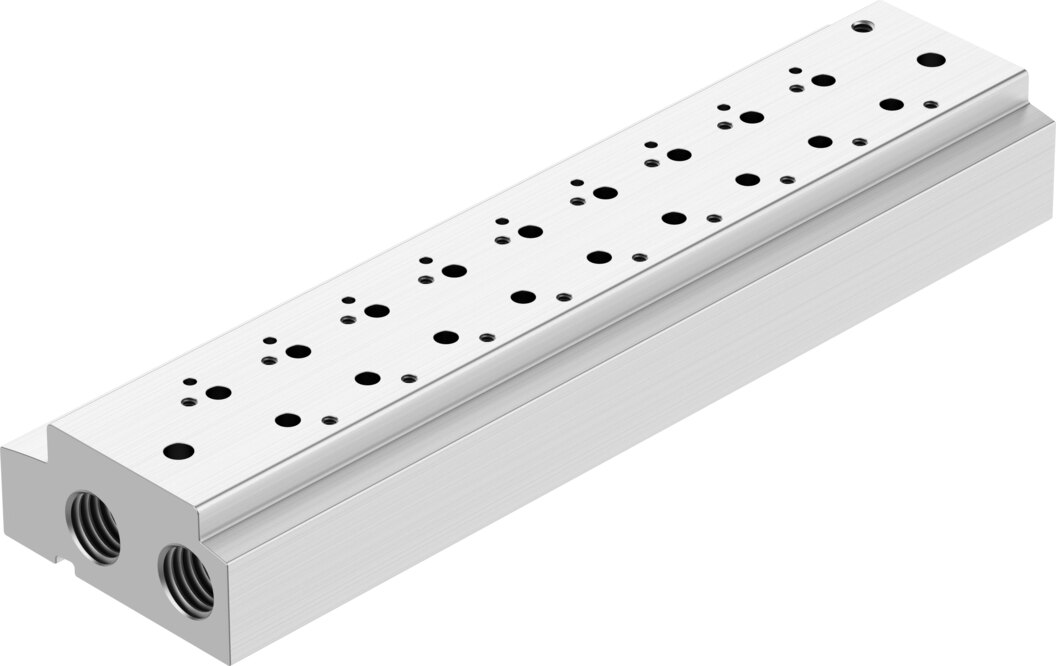 Manifold rail