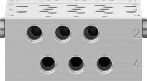 Manifold rail