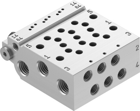 Manifold rail