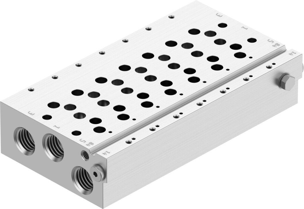Manifold rail