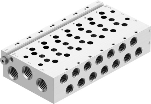 Manifold rail