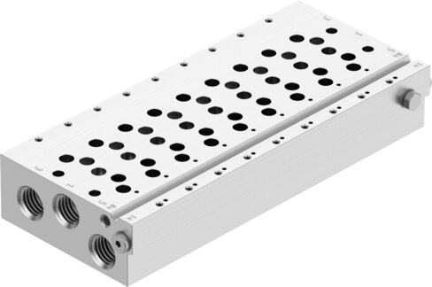 Manifold rail