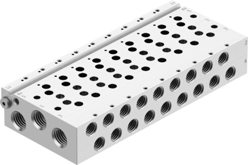Manifold rail