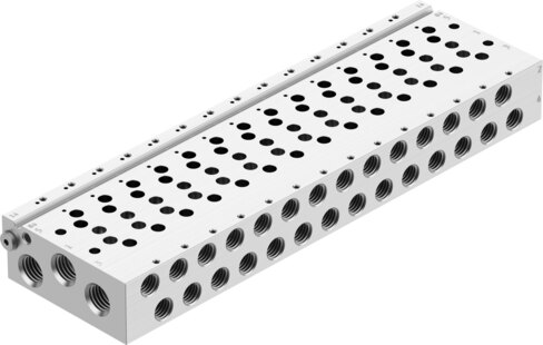 Manifold rail