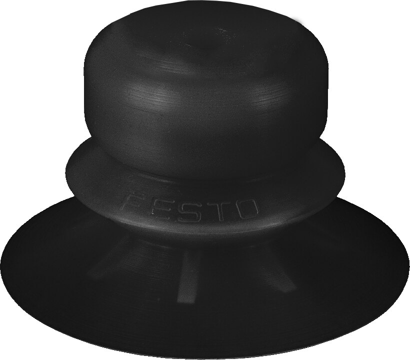 Suction cup without connector