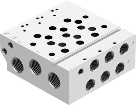 Manifold rail