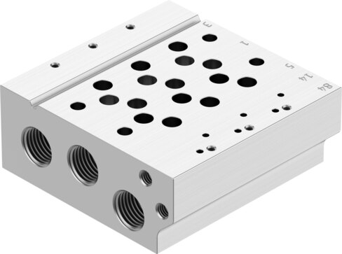 Manifold rail