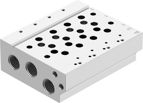 Manifold rail