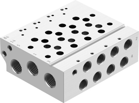 Manifold rail