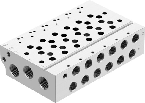 Manifold rail