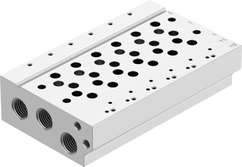 Manifold rail