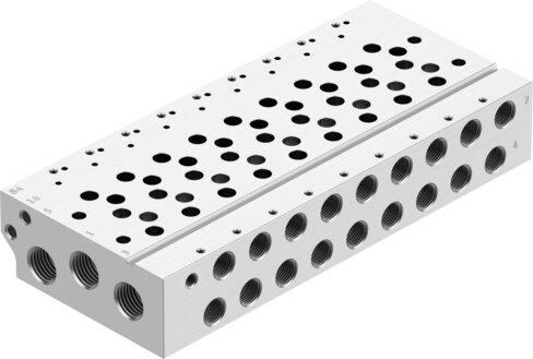 Manifold rail