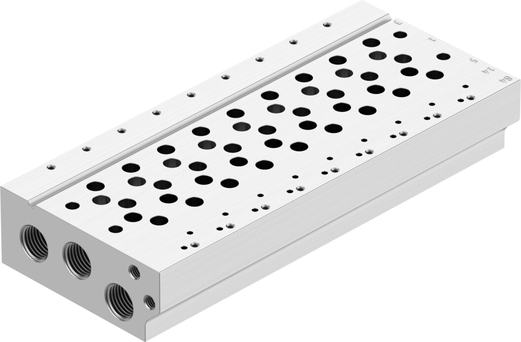 Manifold rail