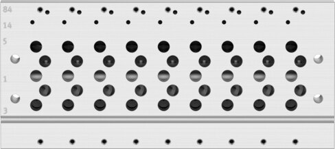 Manifold rail