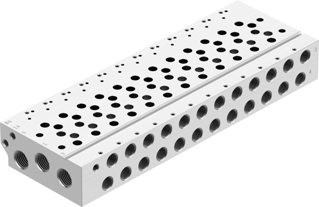 Manifold rail