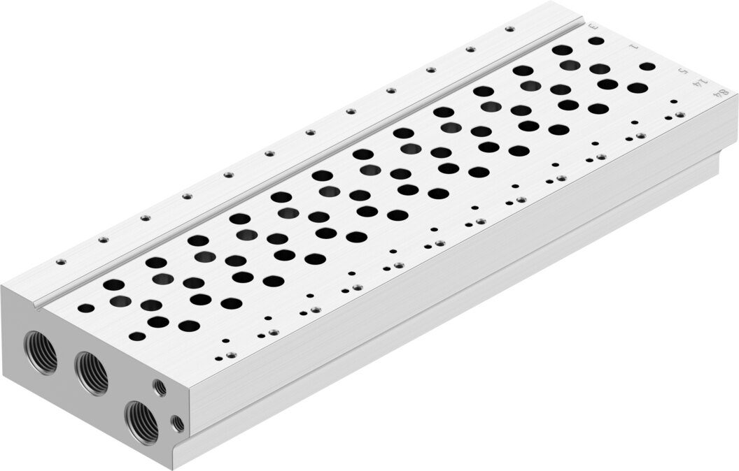 Manifold rail