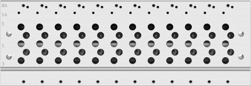 Manifold rail