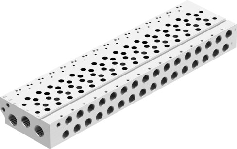 Manifold rail