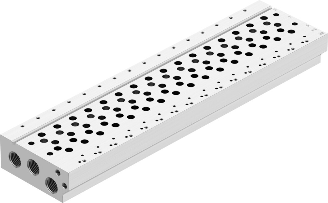 Manifold rail