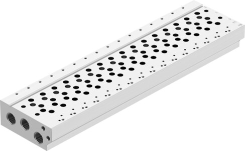 Manifold rail