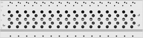 Manifold rail