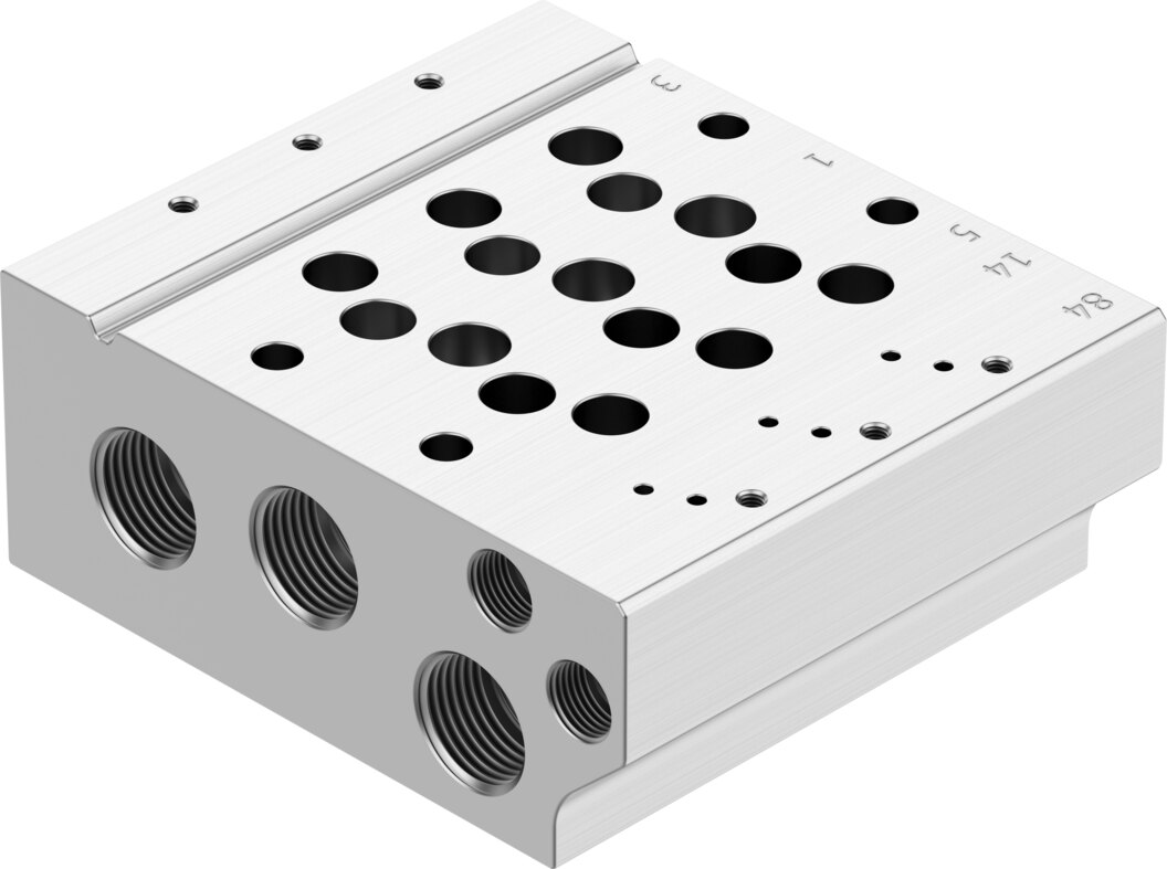 Manifold rail