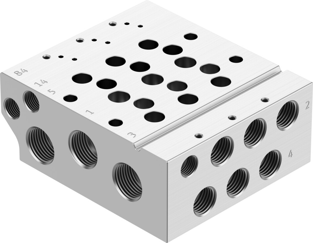 Manifold rail