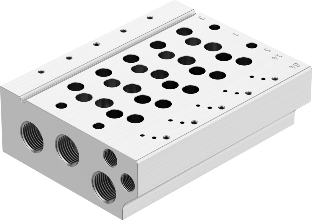 Manifold rail